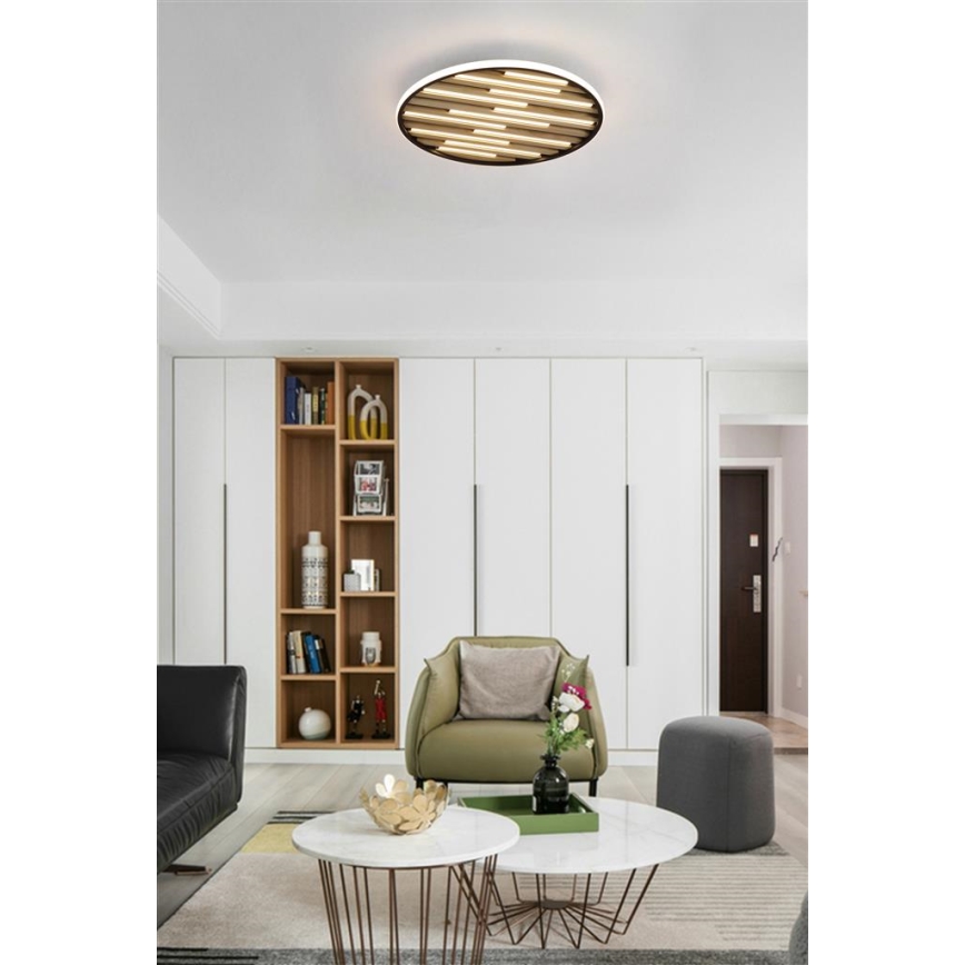 Searchlight - LED stropno svjetlo s prigušivanjem EQUALISE LED/33W/230V