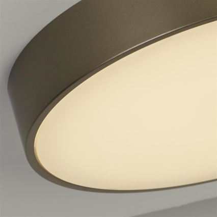 Searchlight - LED stropno svjetilo PALMA LED/12W/230V 3000K promjer 25 cm brončano