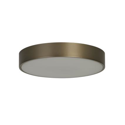 Searchlight - LED stropno svjetilo PALMA LED/12W/230V 3000K promjer 25 cm brončano