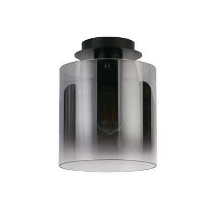 Searchlight - Stropno svjetlo SWEDEN 1xE27/60W/230V pr. 22 cm crno/zadimljeno