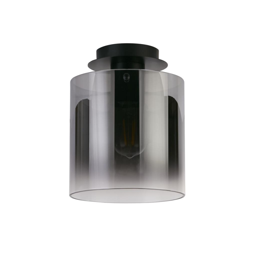 Searchlight - Stropno svjetlo SWEDEN 1xE27/60W/230V pr. 22 cm crno/zadimljeno