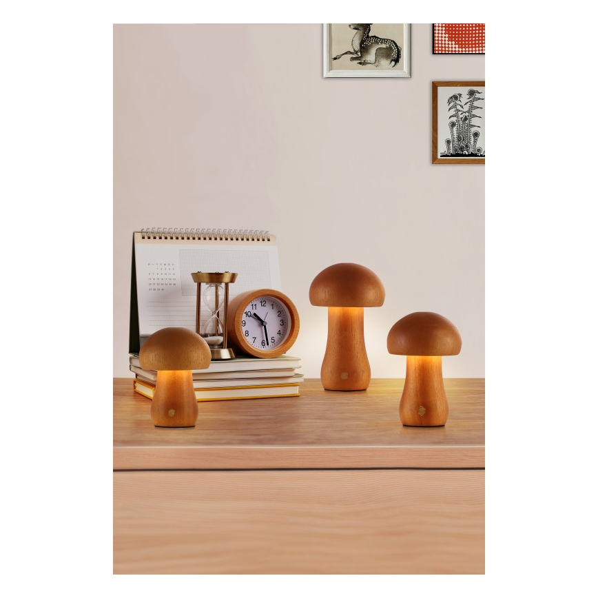 Searchlight - KOMPLET 3x LED stolne lampe MUSHROOM LED/1,1W/5V 800 mAh