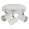 Searchlight - LED Reflektorska svjetiljka ROLLO 3xLED/4W/230V bijela