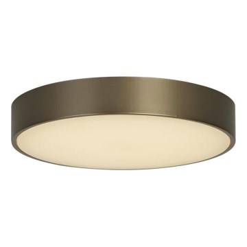 Searchlight - LED stropno svjetilo PALMA LED/12W/230V 3000K promjer 25 cm brončano