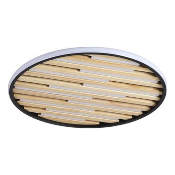 Searchlight - LED stropno svjetlo s prigušivanjem EQUALISE LED/33W/230V