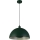 Searchlight - Luster na sajli MARS 1xE27/60W/230V Ø 25 cm zelena