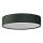 Searchlight - Stropno svjetlo DRUM 3xE27/60W/230V zeleno