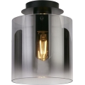 Searchlight - Stropno svjetlo SWEDEN 1xE27/60W/230V pr. 22 cm crno/zadimljeno