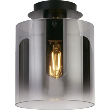Searchlight - Stropno svjetlo SWEDEN 1xE27/60W/230V pr. 22 cm crno/zadimljeno