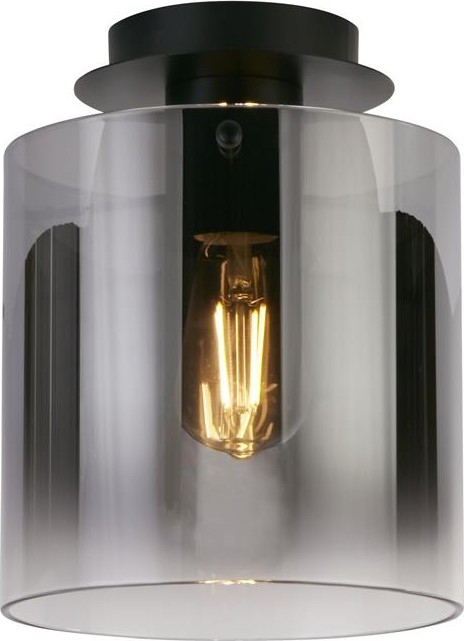 Searchlight - Stropno svjetlo SWEDEN 1xE27/60W/230V pr. 22 cm crno/zadimljeno