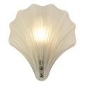 Searchlight - Zidna svjetiljka SHELL 1xG9/7W/230V bijela