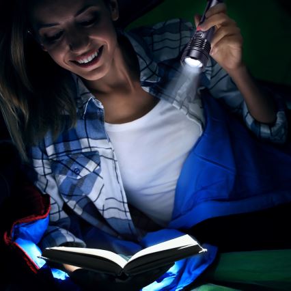 Sencor - LED Punjiva aluminijska baterijska svjetiljka LED/5W/2200 mAh IP44