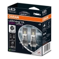 SET 2x LED Auto žarulja EASY GEN H7 PX26d/16W/12V 6500K - Osram