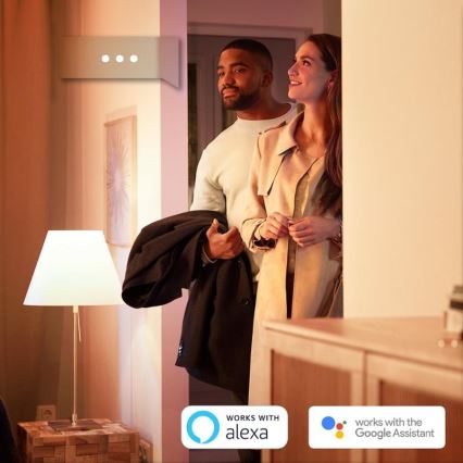 SET 2x LED Žarulja za prigušivanje Philips HUE WHITE E27/9W/230V