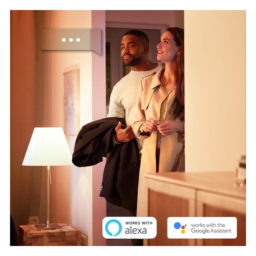 SET 2x LED Žarulja za prigušivanje Philips HUE WHITE E27/9W/230V