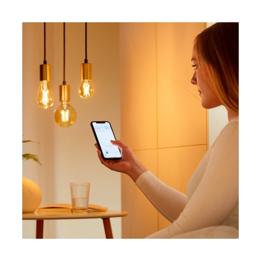 SET 2x LED Prigušiva žarulja VINTAGE FILAMENT ST64 E27/6,7W/230V 2000-5000K Wi-Fi - WiZ