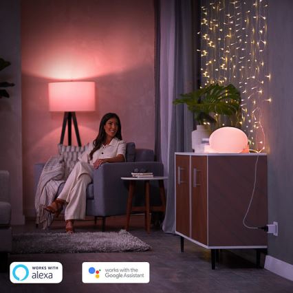 SET 2x Pametna utičnica Philips Hue Smart plug