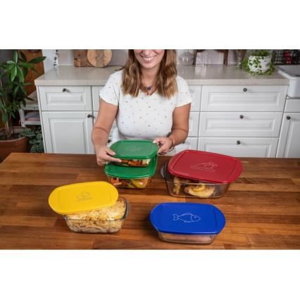SET 2x Staklene posude za hranu PYREX 1,2/2,5 l