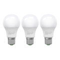 SET 3x LED Žarulja ECOLINE A60 E27/10W/230V 6500K - Brilagi