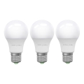 SET 3x LED Žarulja ECOLINE A60 E27/15W/230V 6500K - Brilagi