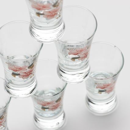 Set 6x čaša za liker s motivom cvijeća br. 2