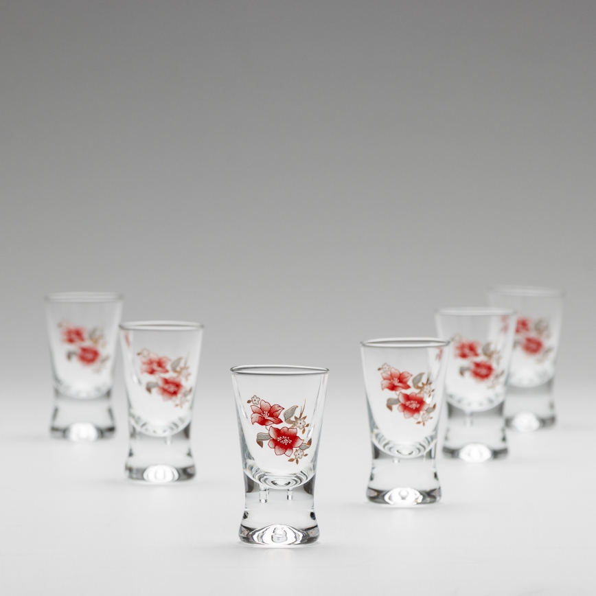 Set 6x čaša za žestice prozirna s motivom cvijeća br. 2
