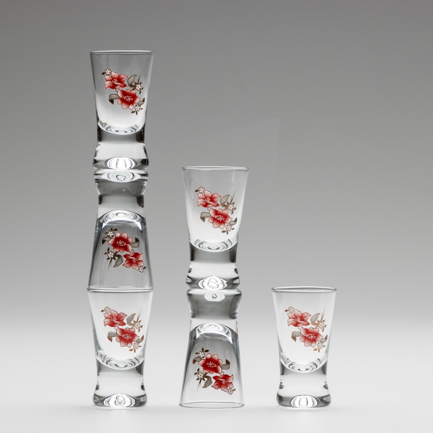 Set 6x čaša za žestice prozirna s motivom cvijeća br. 2