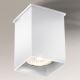 Shilo - Stropna svjetiljka 1xGU10/15W/230V bijela