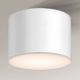 Shilo - Stropna svjetiljka za kupaonicu 1xGX53/15W/230V IP44 bijela