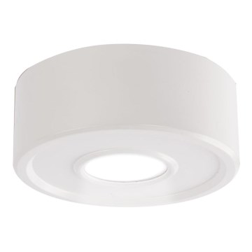 Shilo - LED Stropna svjetiljka IL LED/10W/230V 3000K CRI 90 bijela