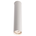 Shilo - Reflektorska svjetiljka 1xGU10/15W/230V 30 cm bijela