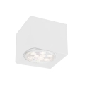 Shilo - Reflektorska svjetiljka 1xGU10/15W/230V bijela
