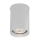 Shilo - Stropna svjetiljka 1xGU10/15W/230V 9 cm bijela