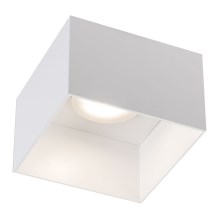 Shilo - Stropna svjetiljka 1xGX53/15W/230V bijela