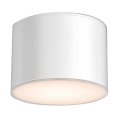 Shilo - Stropna svjetiljka 1xGX53/15W/230V bijela