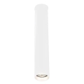 Shilo - Stropna svjetiljka za kupaonicu 1xGU10-MR11/15W/230V IP44 bijela
