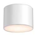 Shilo - Stropna svjetiljka za kupaonicu 1xGX53/15W/230V IP44 bijela