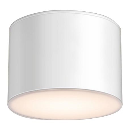 Shilo - Stropna svjetiljka za kupaonicu 1xGX53/15W/230V IP44 bijela
