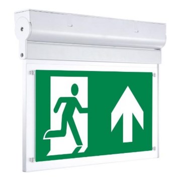 Sinclair - LED sigurnosno svjetlo NOPH LED/2W/230V IK06 zeleno