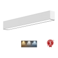 Sinclair - LED Stropna svjetiljka LSM LED/40W/230V 3000K/4000K/5000K 120 cm srebrna