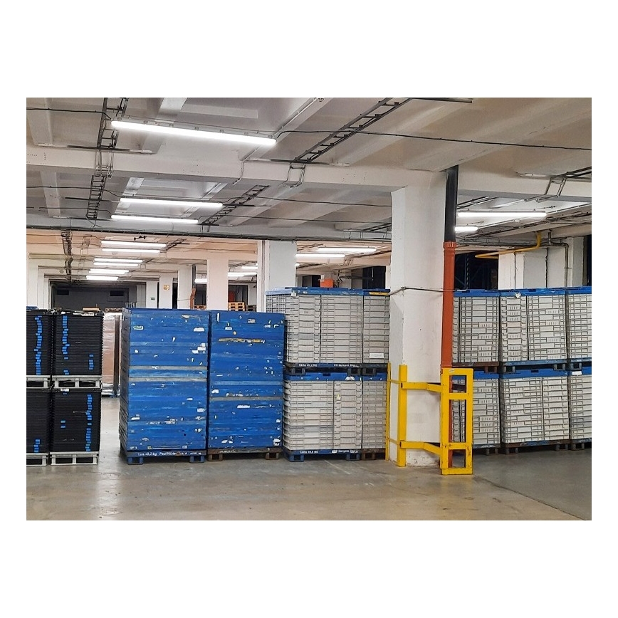 Sinclair - LED Radna svjetiljka LED/45W/230V 4000K IK08 IP66