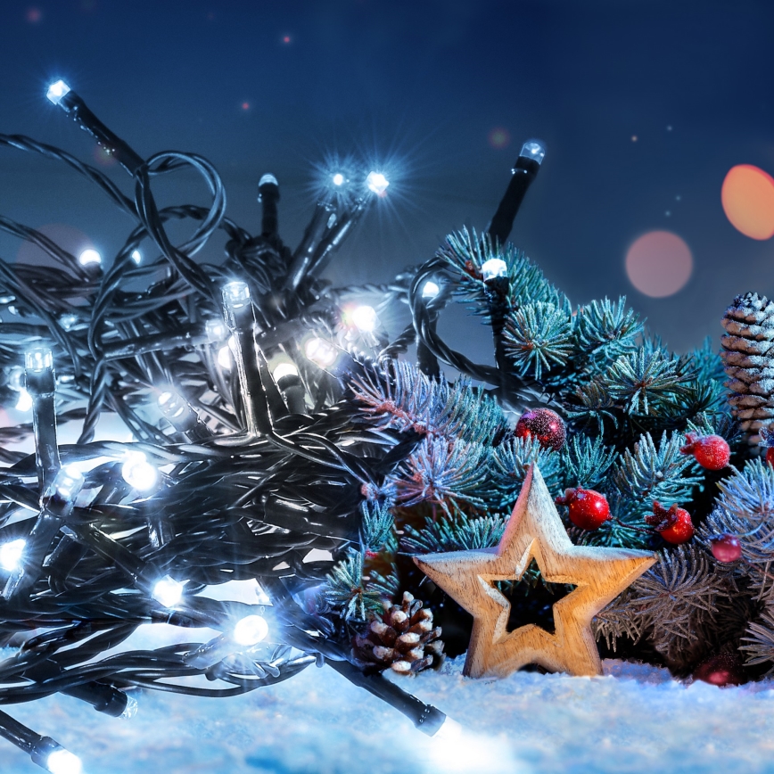 LED vanjski niz 100 LED/8 funkcija 13 m IP44 hladno bijela