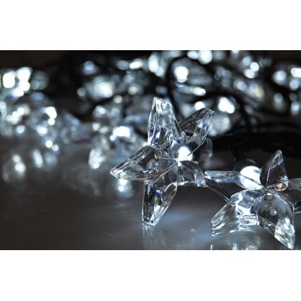 LED Božićne lampice 6 m 20xLED/230V