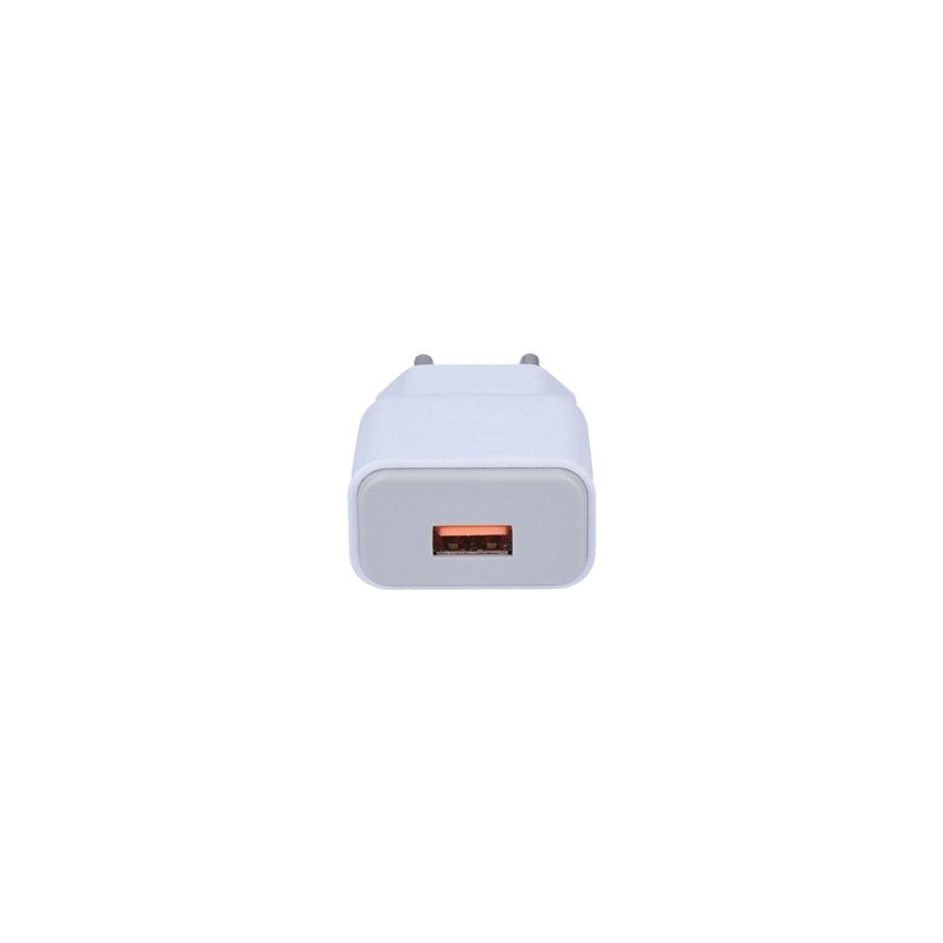 USB Adapter za punjenje 1xUSB/230V