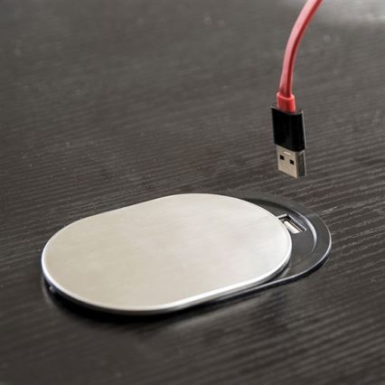 Ugradbena USB utičnica s poklopcem 10A/230V