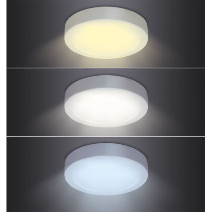 LED stropna svjetiljka LED/12W/230V 3000/4000/6000K prom. 17 cm bijela