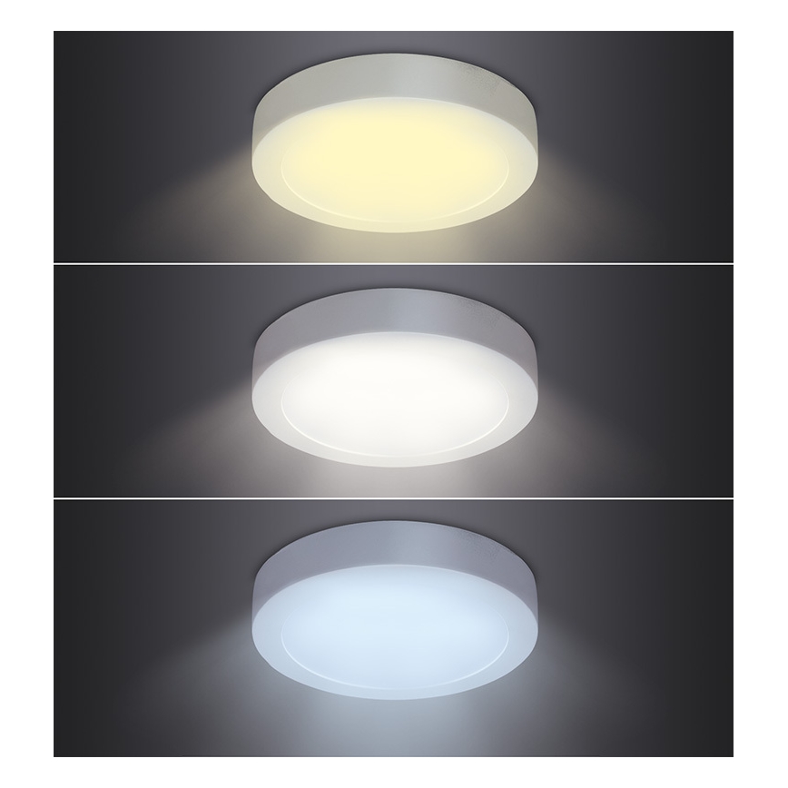 LED stropna svjetiljka LED/18W/230V 3000/4000/6000K pr. 22,5 cm bijela