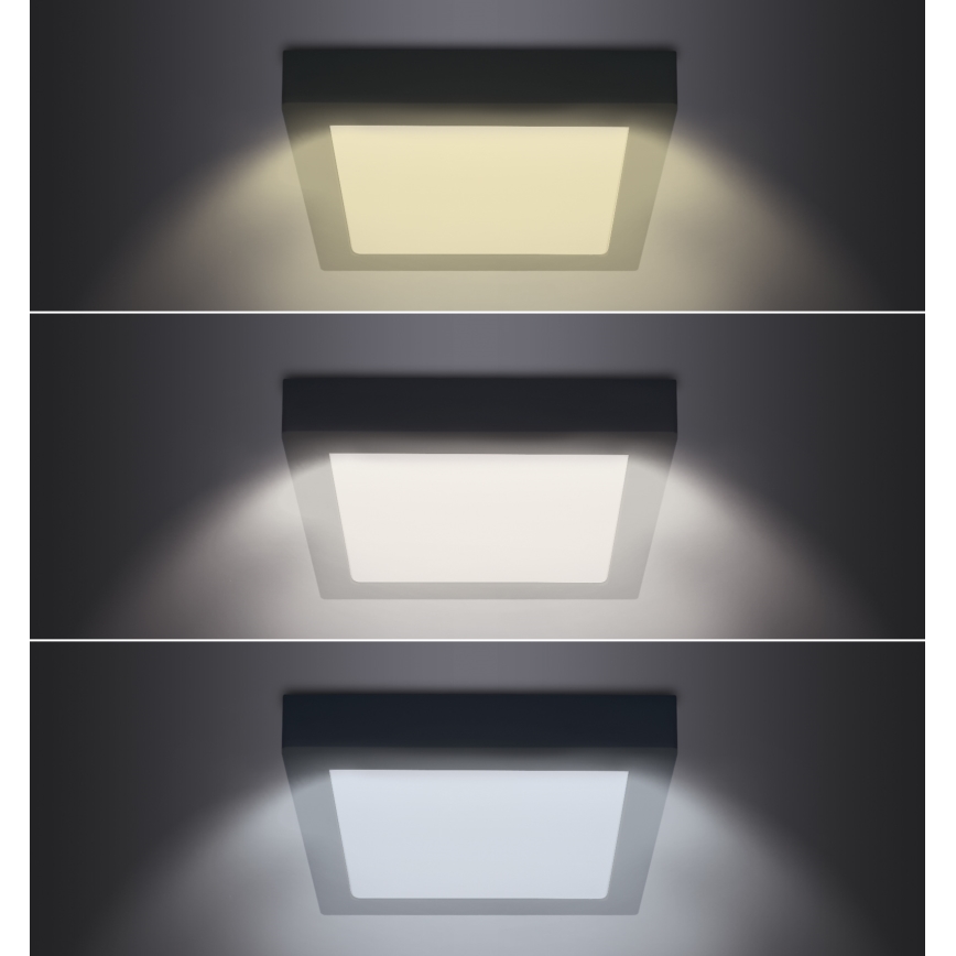 LED Stropna svjetiljka LED/18W/230V 3000/4000/6000K crna uglast