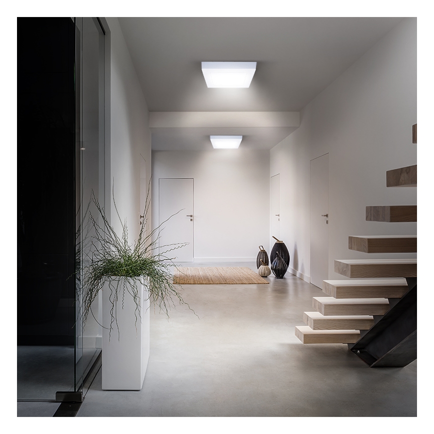 LED stropna svjetiljka LED/18W/230V 3000/4000/6000K 22,5x22,5 cm bijela