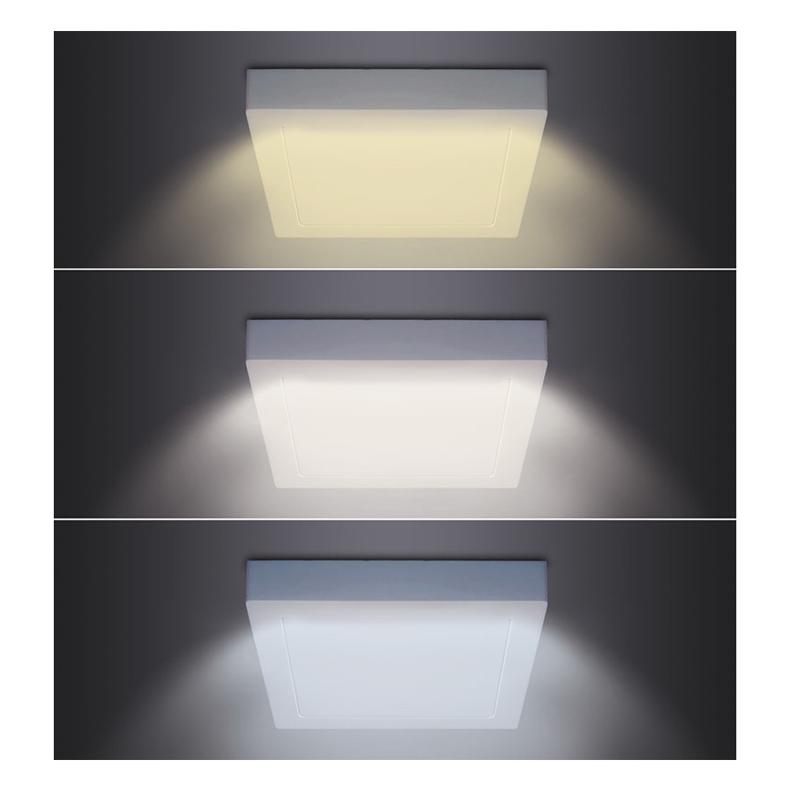 LED stropna svjetiljka LED/18W/230V 3000/4000/6000K 22,5x22,5 cm bijela
